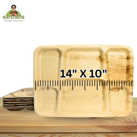 Earthens 14" x 10" 6-Compartment Round Palm Leaf Plate – Natural Beige - Image 5
